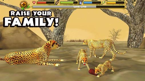 Screenshots of the Cheetah simulator for Android tablet, phone.