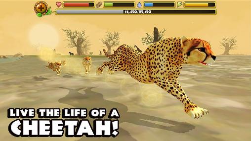 Screenshots of the Cheetah simulator for Android tablet, phone.