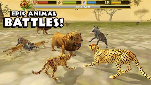 Screenshots of the Cheetah simulator for Android tablet, phone.