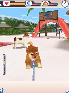 [Game Java] Dogz 3D