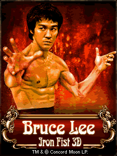 Bruce Lee 3d