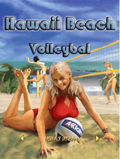 Download Pikachu Volleyball Free