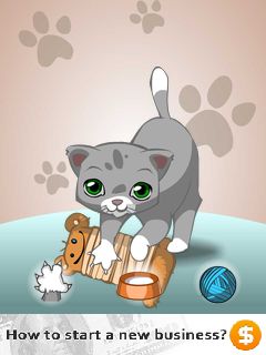 Mobile game Talking cat - screenshots. Gameplay Talking cat