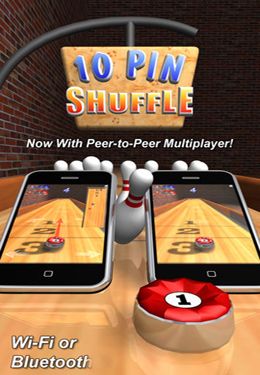 1 10 Pin Shuffle Bowling