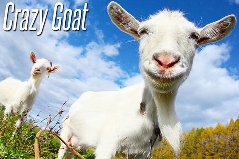 Download Goat Simulator Free For Ios IPA
