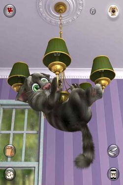 Screenshots of the Talking Tom Cat 2 game for iPhone, iPad or iPod.