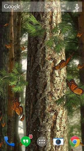 Screenshots of the Butterflies 3D for Android tablet, phone.